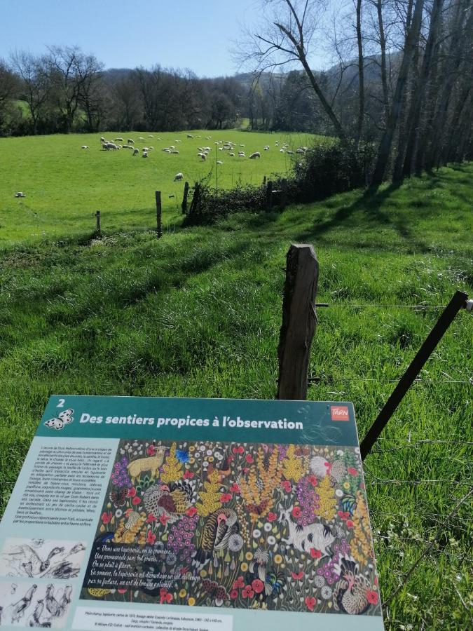 Vila Au Pays Des Abbayes Dourgne Exteriér fotografie